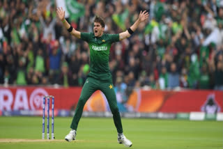 Pakistan's recently appointed captain Shaheen Shah Afridi is contemplating stepping down as captain after getting disappointed with the Pakistan Cricket Board's decision not to involve the right-arm pacer in the discussions while deciding his future as a captain.