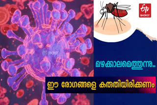 DENGUE FEVER  MONSOON DISEASES  RAINY SEASON  TIPS FOR PREVENTION