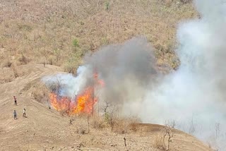 Fire Jhabua Naldi forest damage