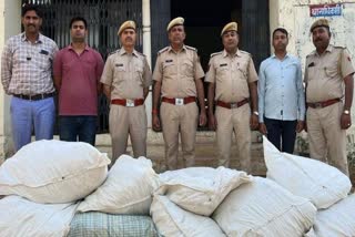 Ganja seized in Dausa