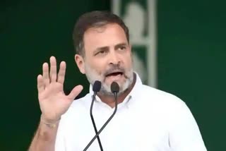 RAHUL GANDHI  RAHUL AGAINST CENTRAL GOVERNMENT  INDIA BLOC  INDIA BLOC RALLY