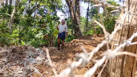 FARMER DUG TRENCH TO BLOCK ELEPHANT  WILD ELEPHANT IN IDUKKI  WILD ELEPHANT ATTACK IN IDUKKI  PREVENTION OF ELEPHANT ATTACK