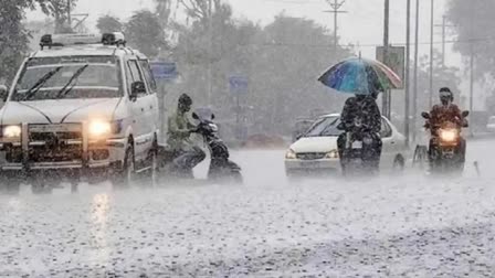 Rain In Haryana