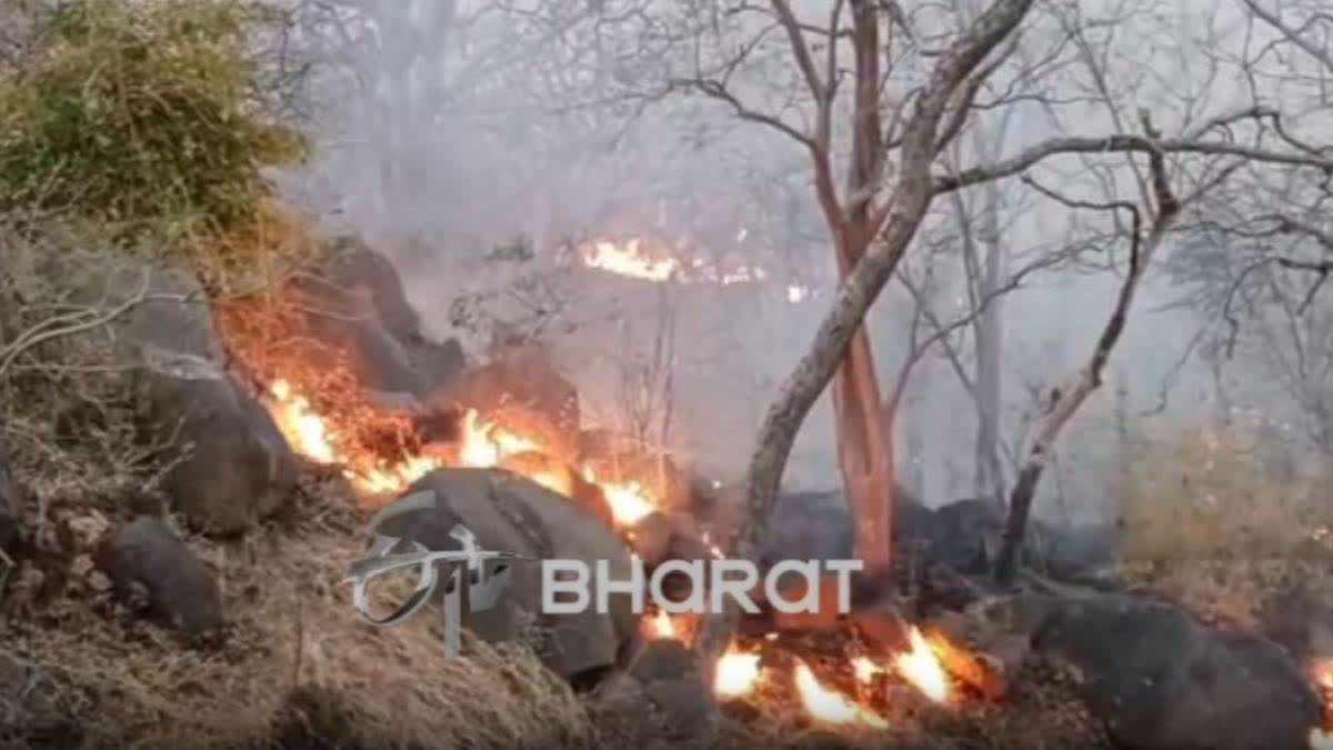 Massive Fire Breaks Out In Mount Abu Forest, Armed Forces Swing Into Action