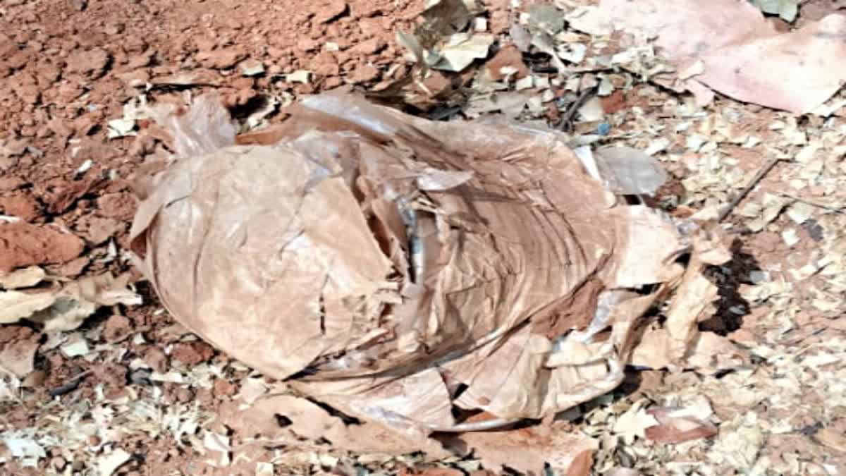 IED bombs recovered planted by Naxalites in West Singhbhum