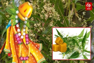 Behind Eating Neem And Jaggery