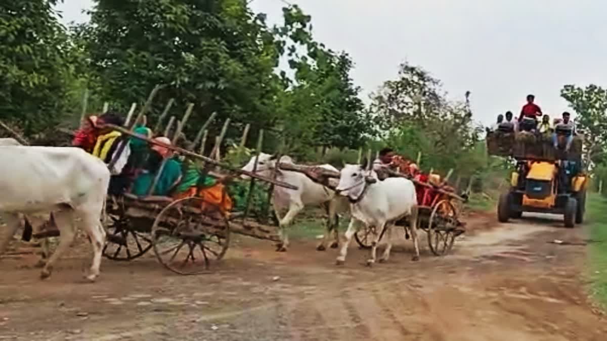 UNIQUE BARAAT IN BULLOCK CART  and JCB