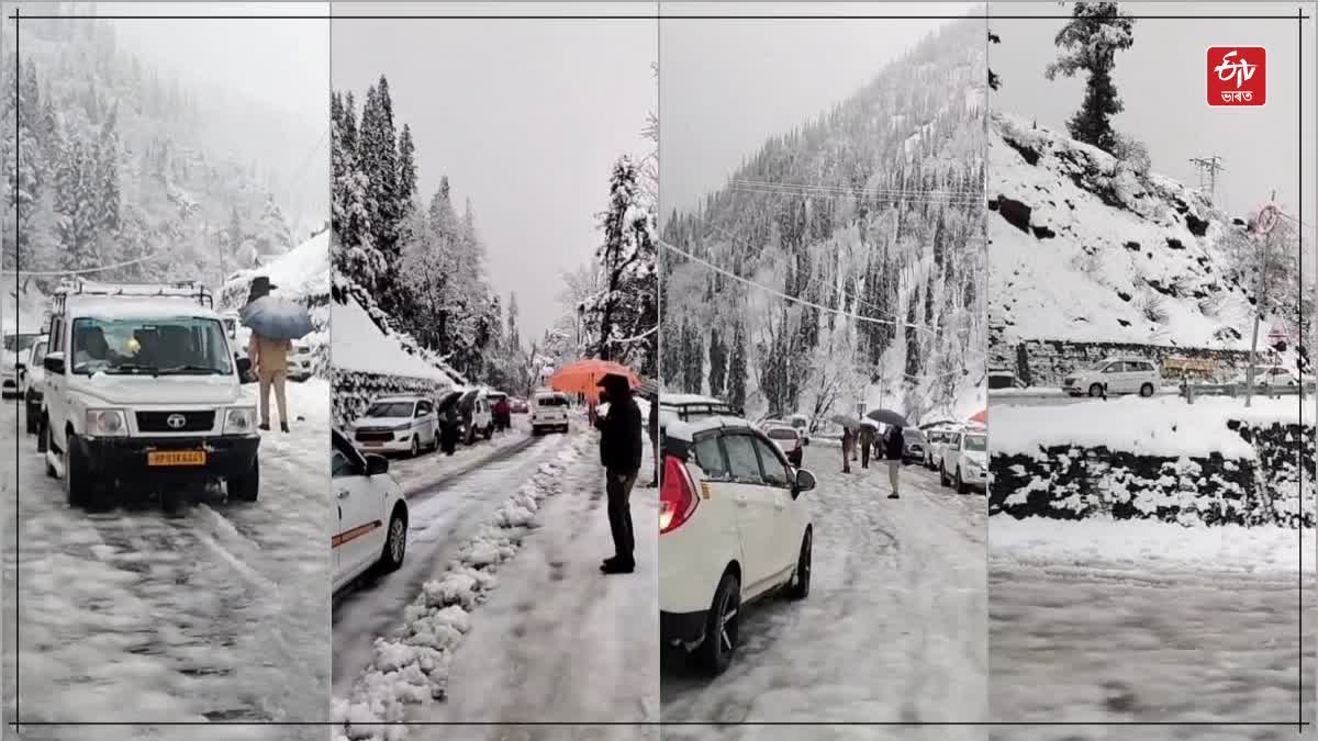 Himachal snowfall