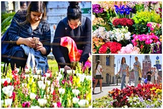 edible flowers health benefits