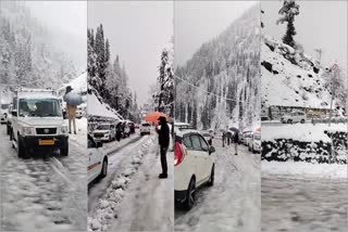 7 inches Snowfall in Atal Tunnel