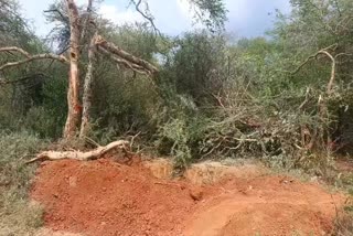 Roadblock Issue at Tenkasi