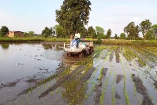 PADDY TRANSPLANTER MACHINE