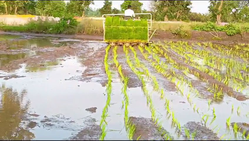 Shahdol Paddy Transplanter Machine