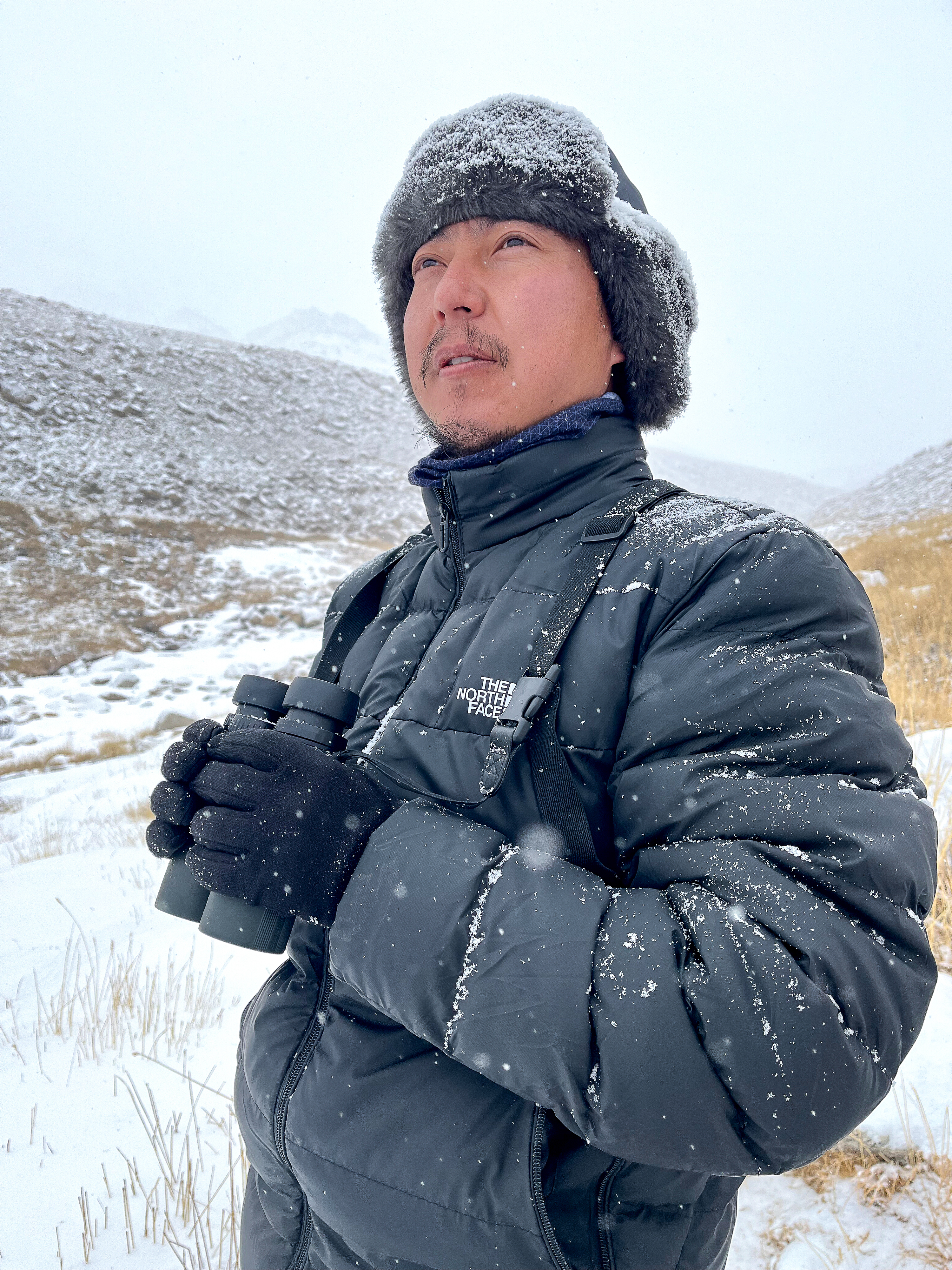 From Birding To Butterflies: Padma Gyalpo Documents Rare Butterfly Species In Ladakh