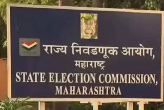 Local Government Elections