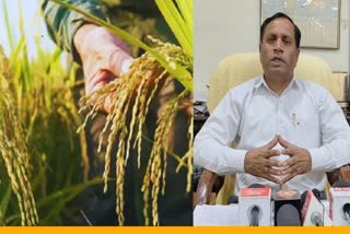 SHORT DURATION PADDY VARIETIES