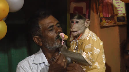 He's Our Second Son: Karnataka Family Celebrates Pet Monkey Hanumantha Gowda's Birthday With A Grand Event