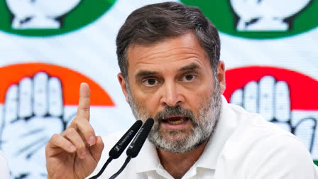 We Wholeheartedly Welcome This Decision: Rahul Gandhi On Caste Census