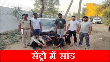 नूंह में सेंट्रो कार में भरकर ले जा रहे थे सांड, 5 आरोपियों को पुलिस ने धर दबोचा