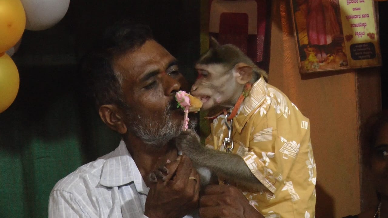 He's Our Second Son: Karnataka Family Celebrates Pet Monkey Hanumantha Gowda's Birthday With A Grand Event