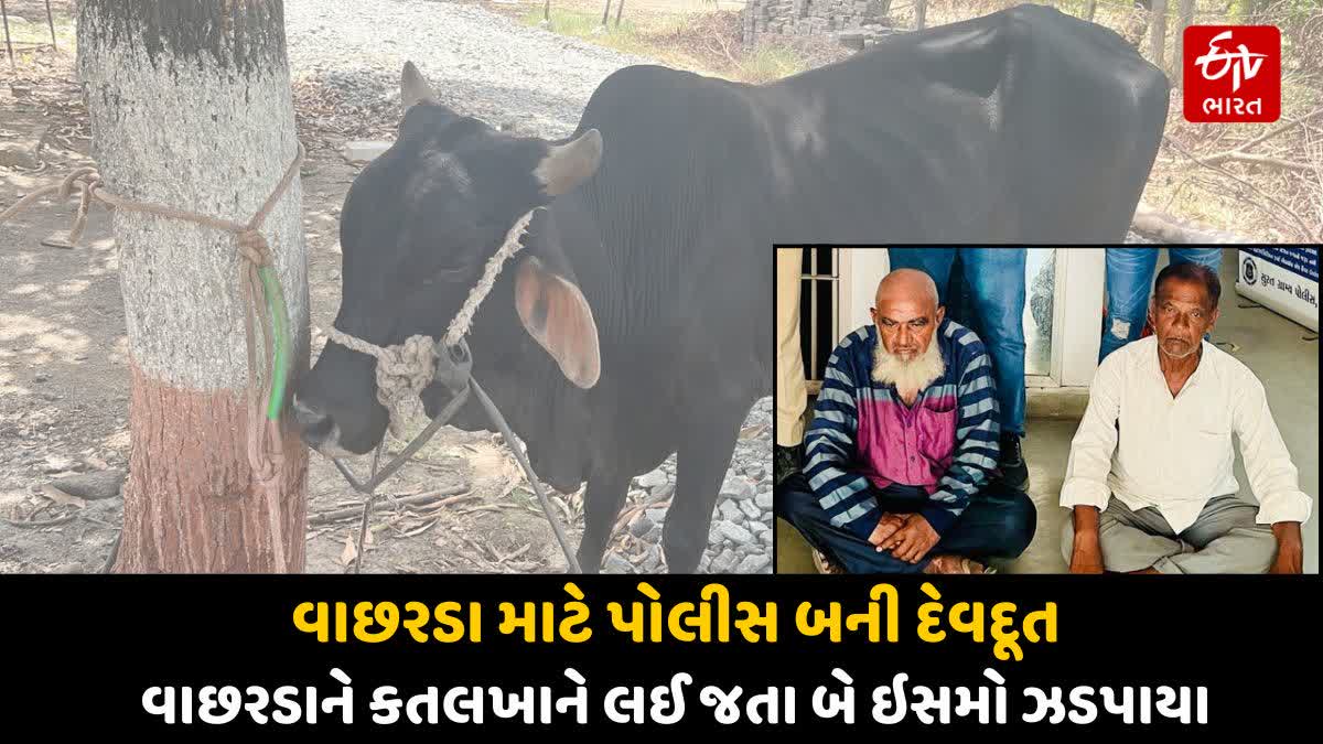 વાછરડાને કતલ ખાને લઈ જતા બે ઇસમો ઝડપાયા