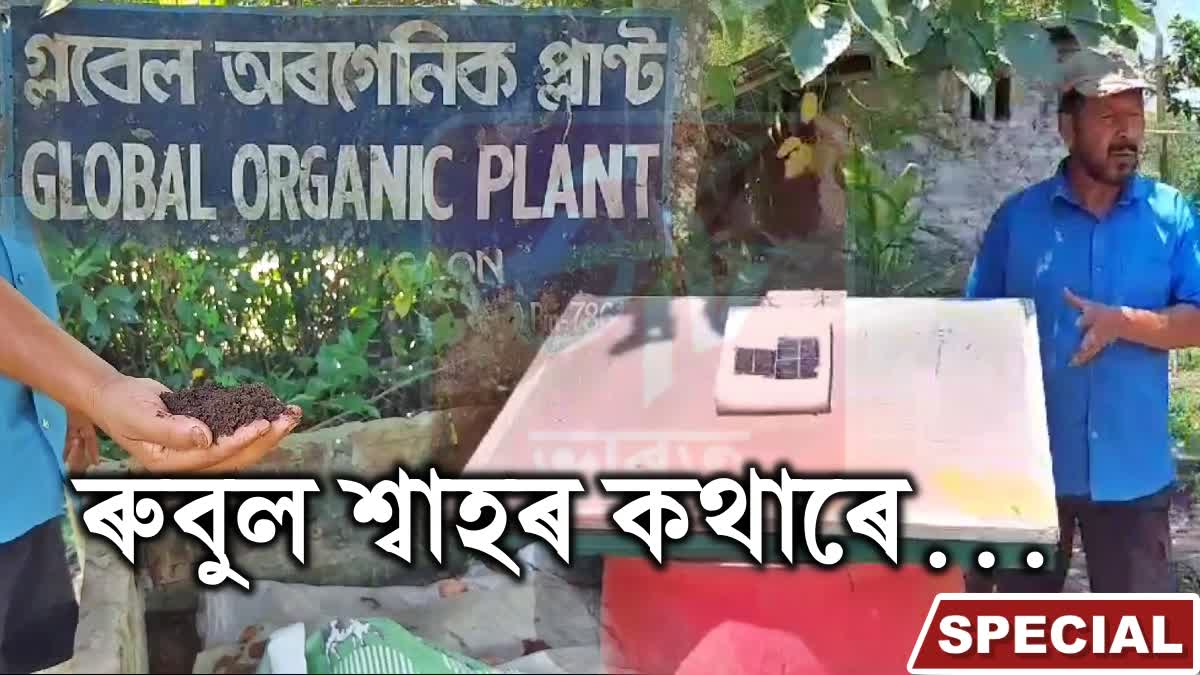 Green Revolution in Tinsukia