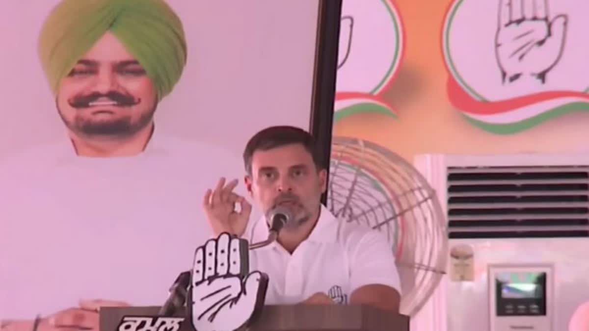 Rahul Gandhi in Punjab