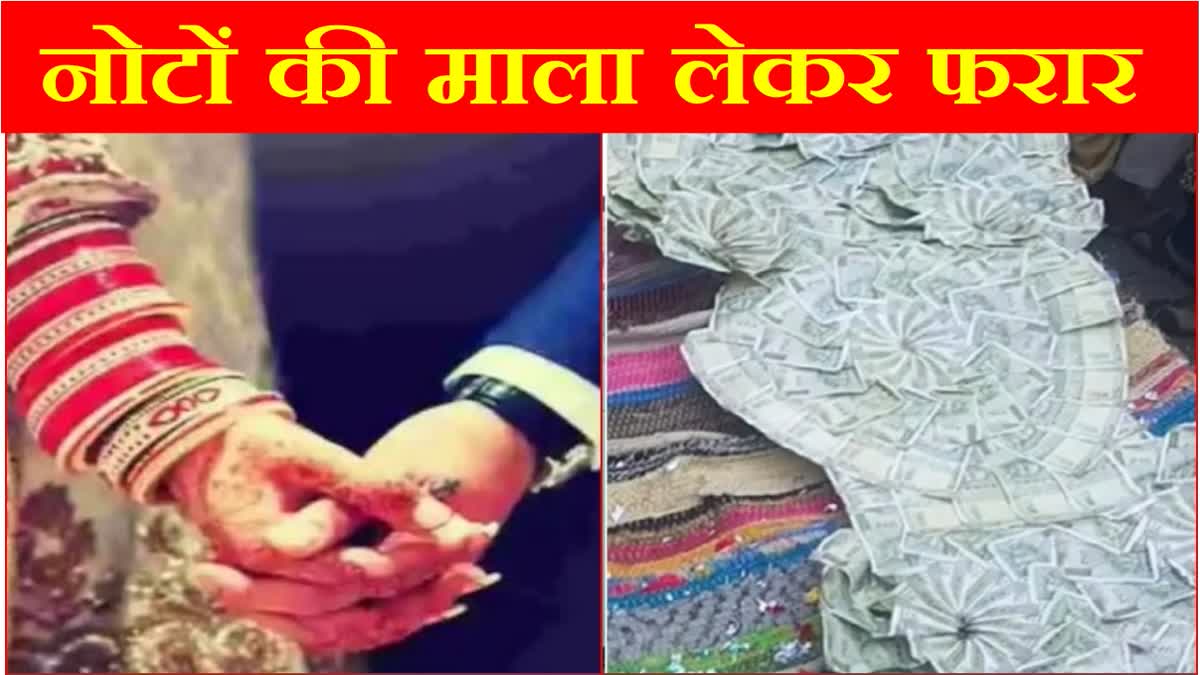 Two people ran away with garlands worth Rs 38 lakh taken on rent for wedding in Nuh of Haryana
