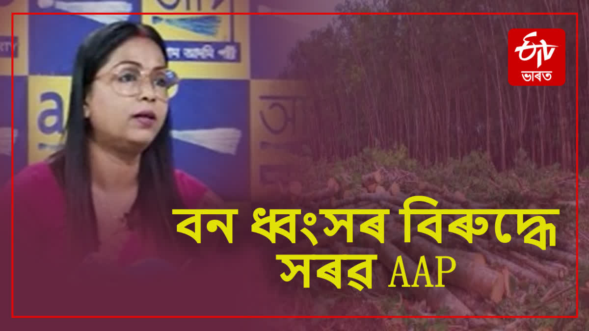 AAP Assam alleges heat wave due to deforestation in Assam