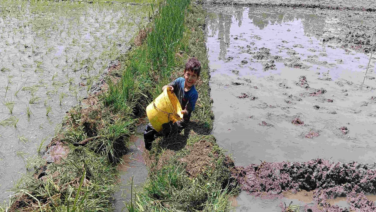 IRRIGATION PROBLEM IN PULWAMA