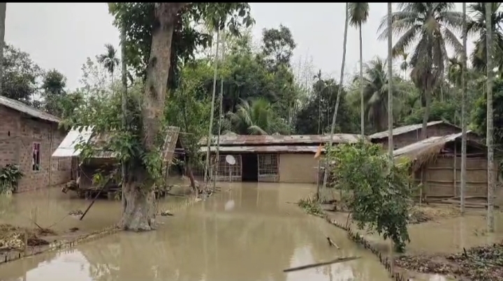 বানৰ বিভীষিকা