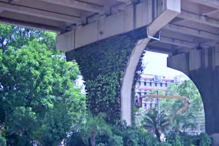 GHMC to Improve Vertical Gardens in Hyderabad