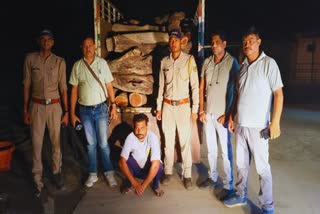 Timber smuggler arrested