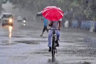 യെല്ലോ അലർട്ട്  മഴ മുന്നറിയിപ്പ് കേരളം  RAIN ALERT KERALA  Kerala Monsoon