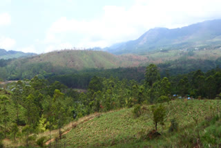 RESERVE FOREST AGAIN IN IDUKKI  ആനയിറങ്കൽ റിസർവ്  FOREST DEPARTMENT  ഇടുക്കി