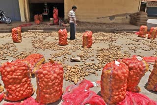 INTERNATIONAL POTATO DAY  POTATO HEALTHY OR UN HEALTHY  ഉരുളക്കിഴങ്ങിനായി ഒരു ദിനം  ഉരുളക്കിഴങ്ങ് ആരോഗ്യകരമോ