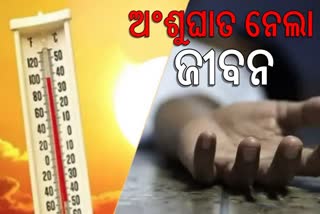 3 death in Sunstroke