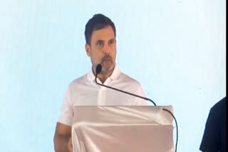 Martin Luther King Jr., Mandela, Einstein Took Inspiration From Mahatma Gandhi: Rahul Gandhi