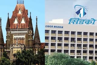 Mumbai HC On Hoarding Policy CIDCO