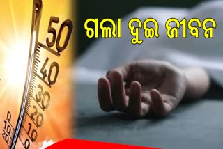 sun stroke death in dhenkanal