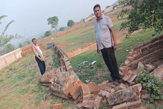 elephants in bagodar