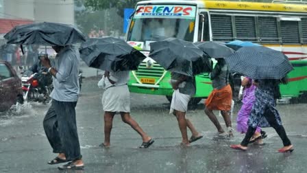 KERALA WEATHER UPDATE  KERALA RAINS  കേരളത്തില്‍ മഴ മുന്നറിയിപ്പ്  YELLOW ALERT DISTRICTS KERALA