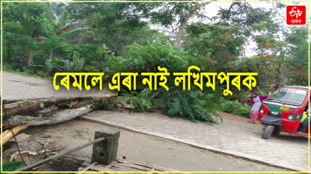 Ramal effects in Lakhimpur