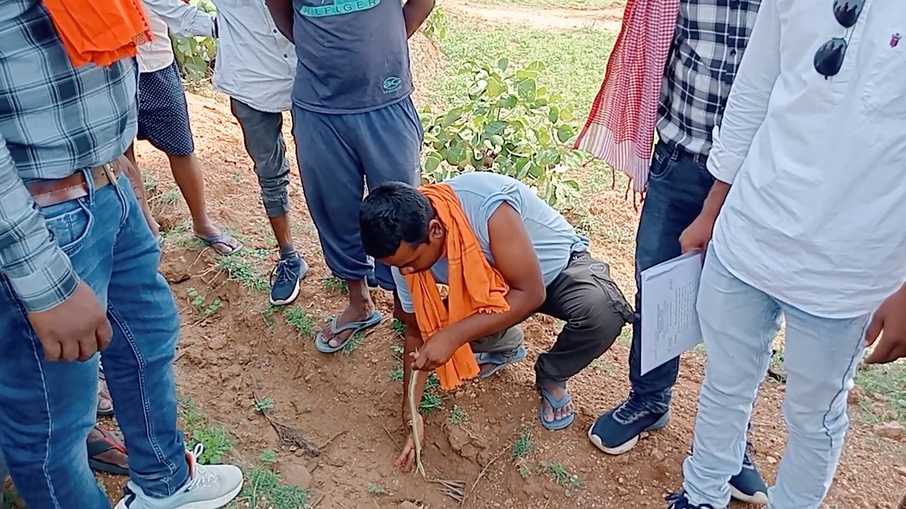 Prisoner MGNREGA worker in Latehar