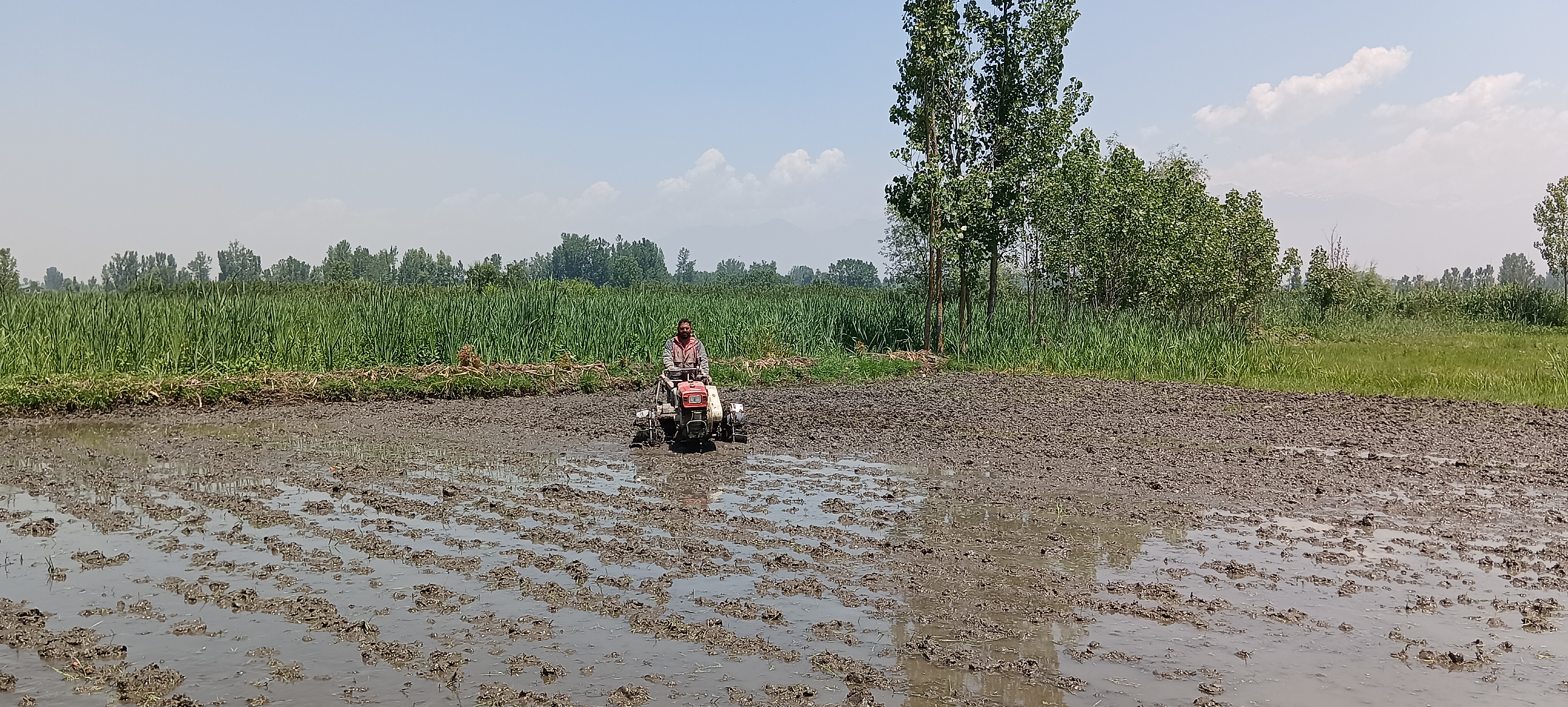 IRRIGATION PROBLEM IN PULWAMA