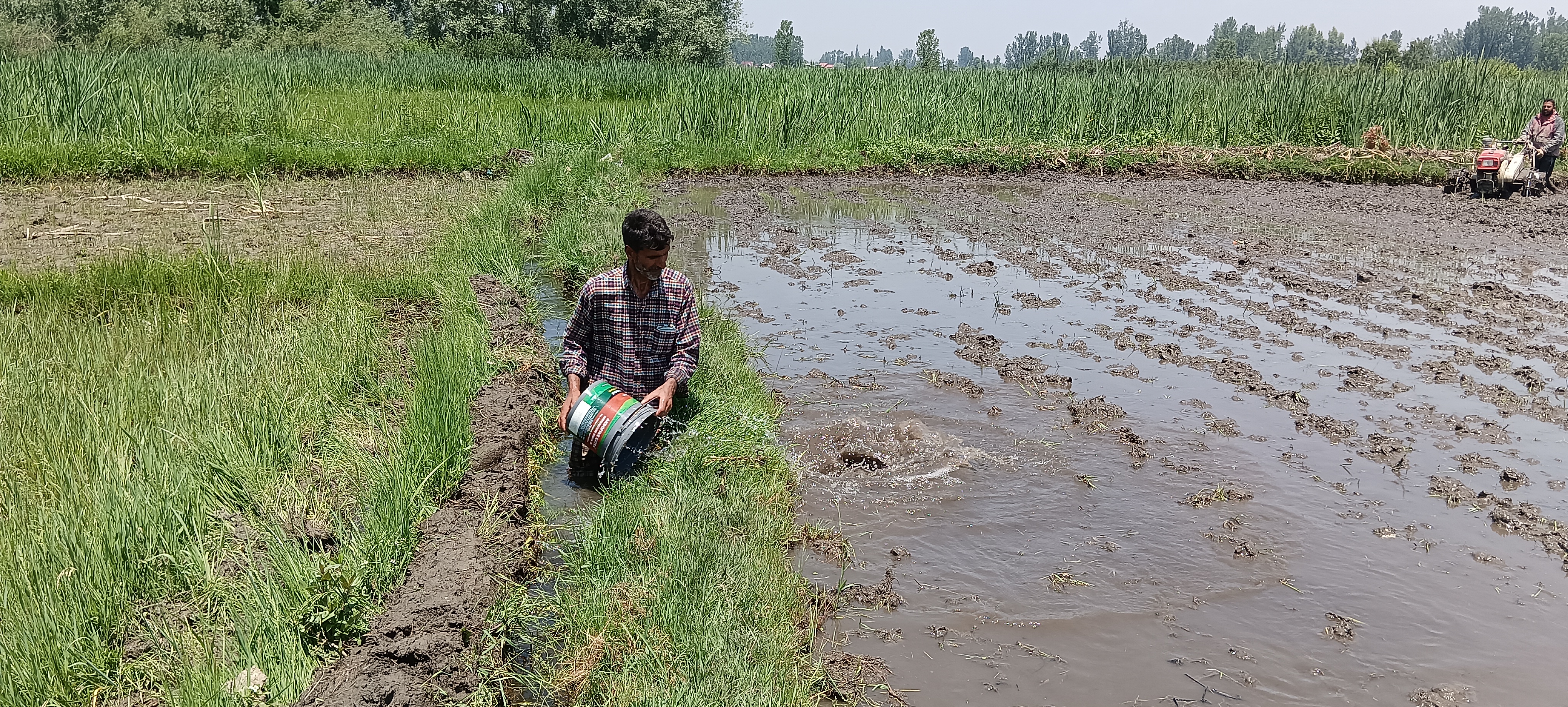 IRRIGATION PROBLEM IN PULWAMA