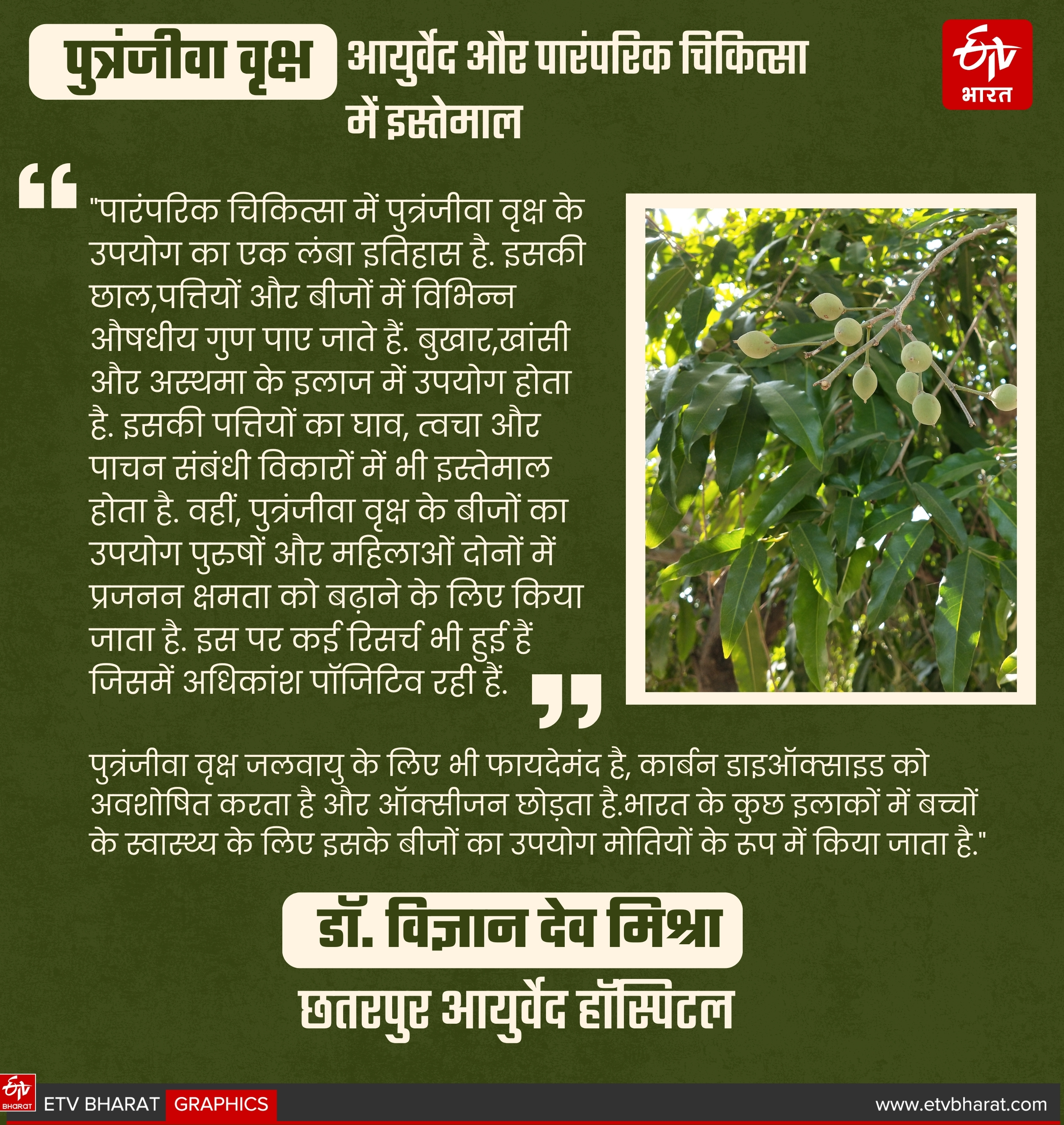 PUTRANJIVA TREE IMPORTANCE