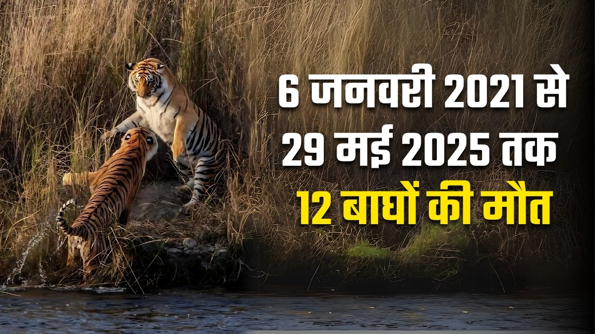 ईटीवी भारत GFX.