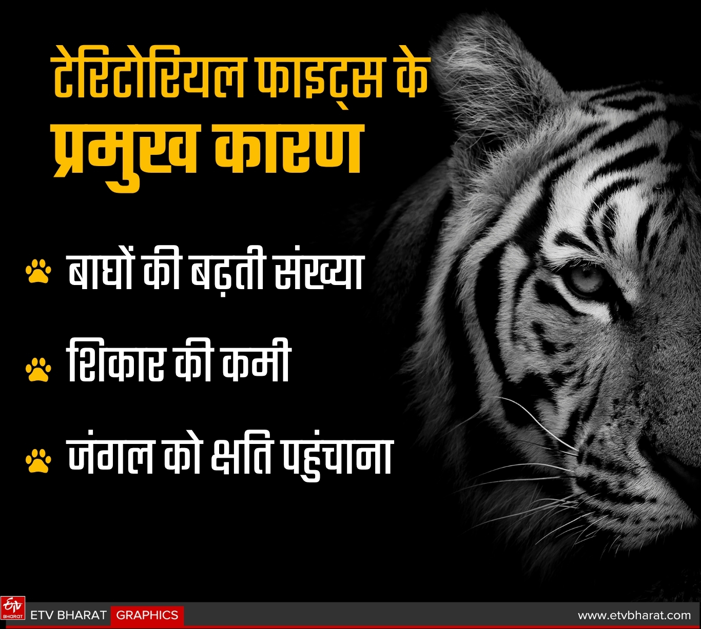 ईटीवी भारत GFX.