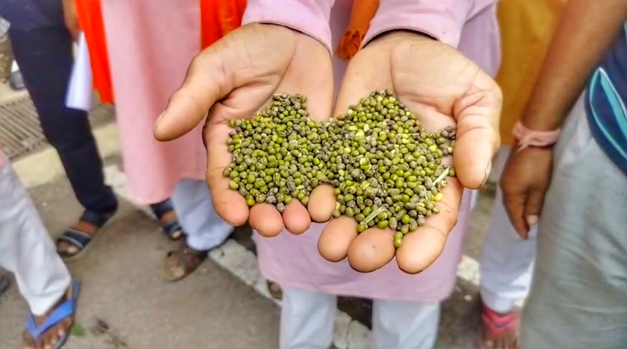 Moong Farmers